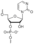 Bio-Synthesis Inc. Oligo Structure